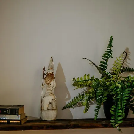 Wierch Glodowski 25d By Homeprime 公寓 布库维纳塔然斯卡